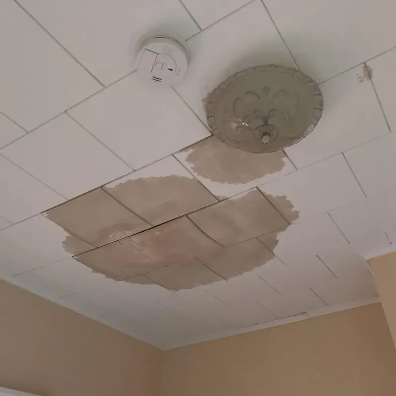 Ceiling Water Damage Repair in Caldwell County, MO