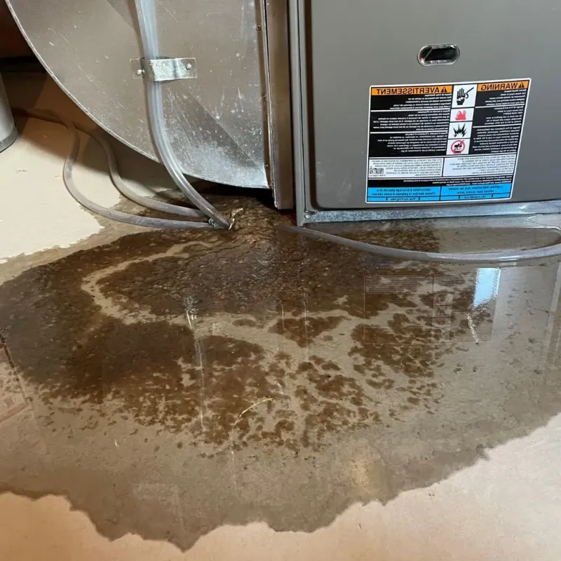 Pipe Burst and Leak Restoration in Caldwell County, MO